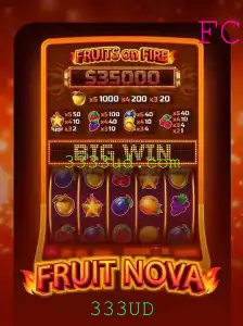 Explorando o Mundo Atraente de FruitNova: Uma Imersão nas Regras e Dinâmica do Jogo